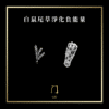 04 白鼠尾草淨化負能量 new